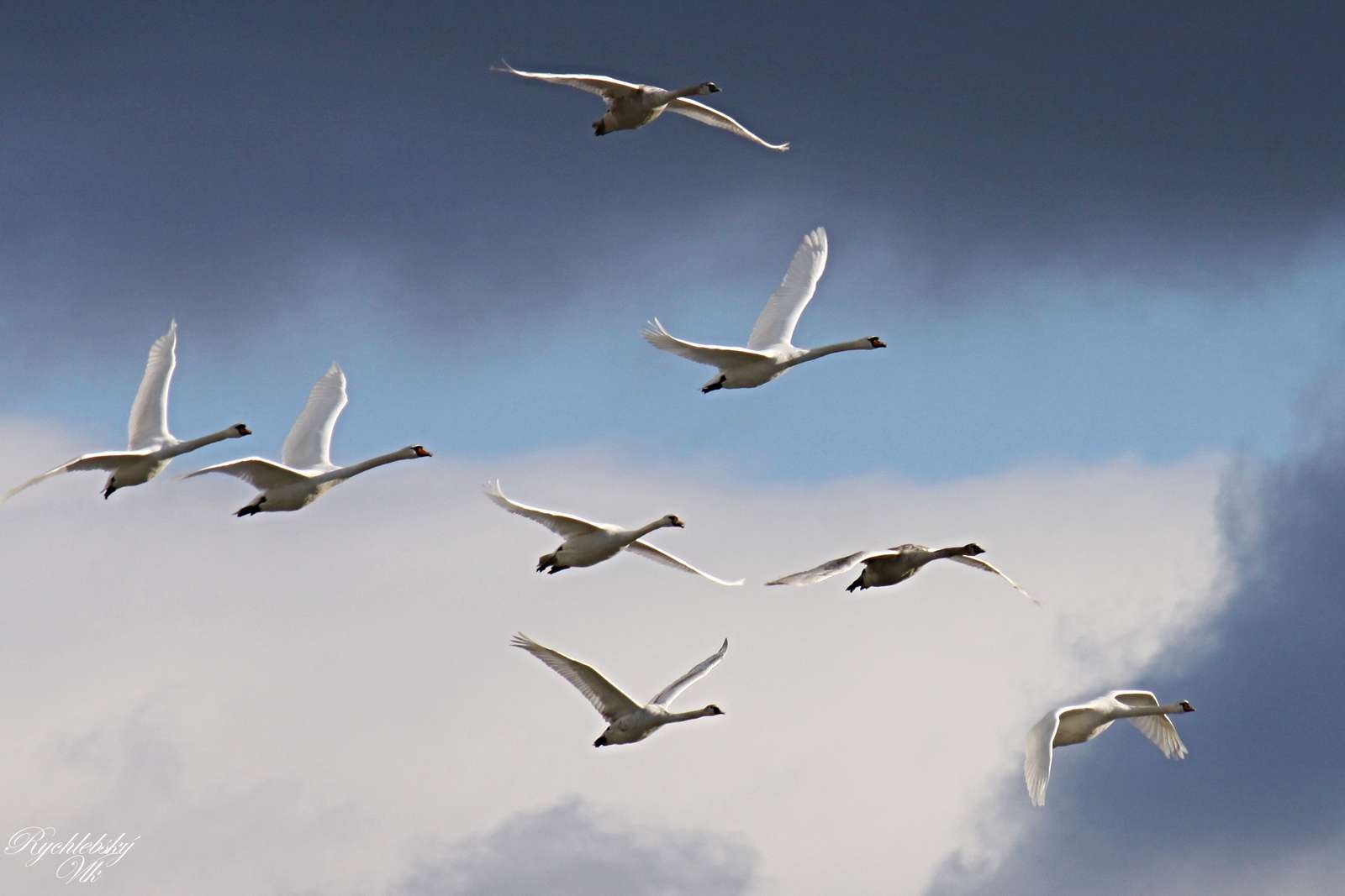 Labute - Javorník Village. online puzzle