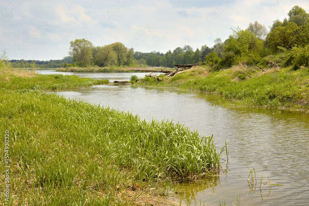 Der Fluss Bug an der polnisch-weißrussischen Grenze Online-Puzzle