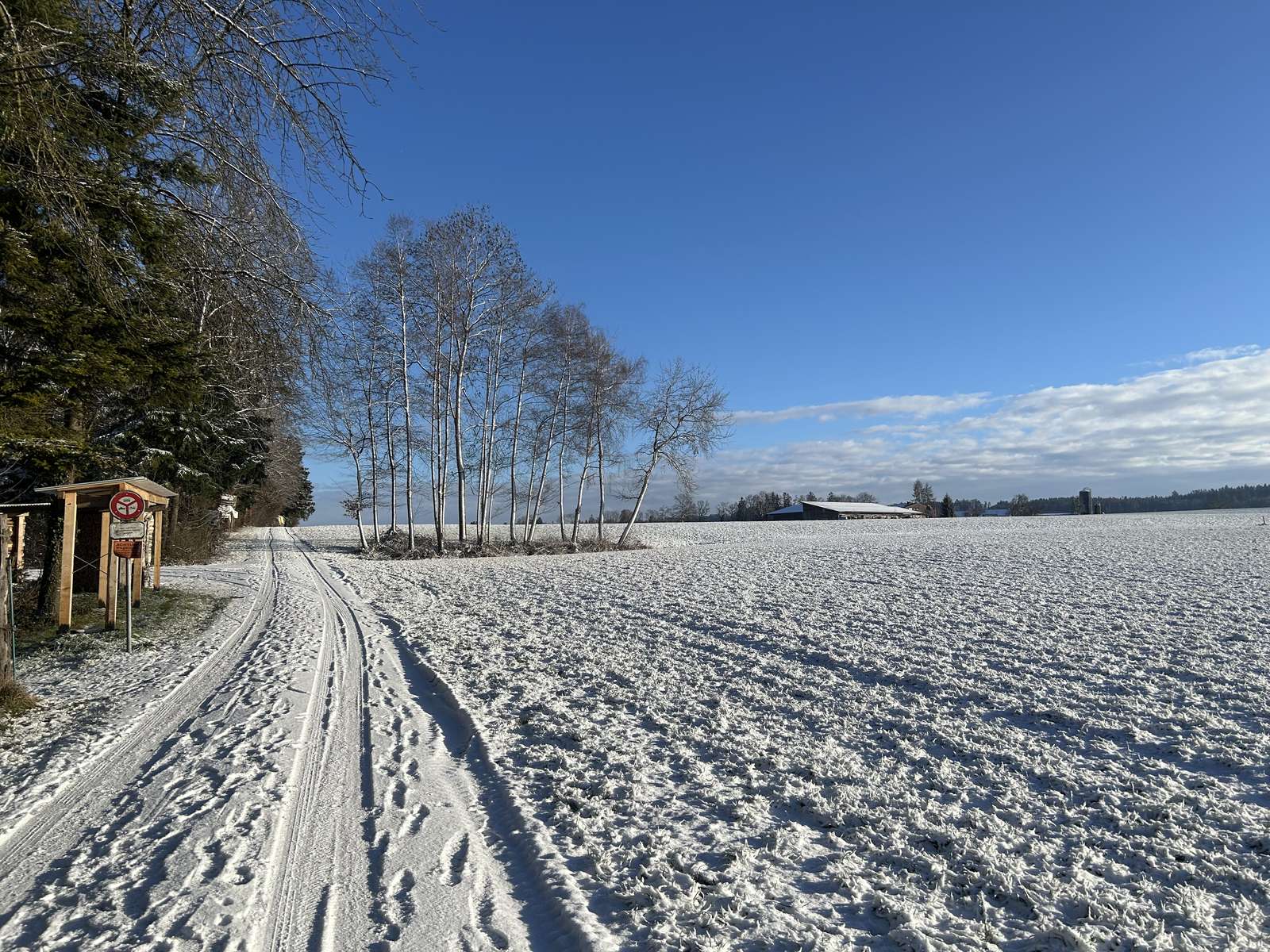 Nieve sol árboles Thurgau rompecabezas en línea