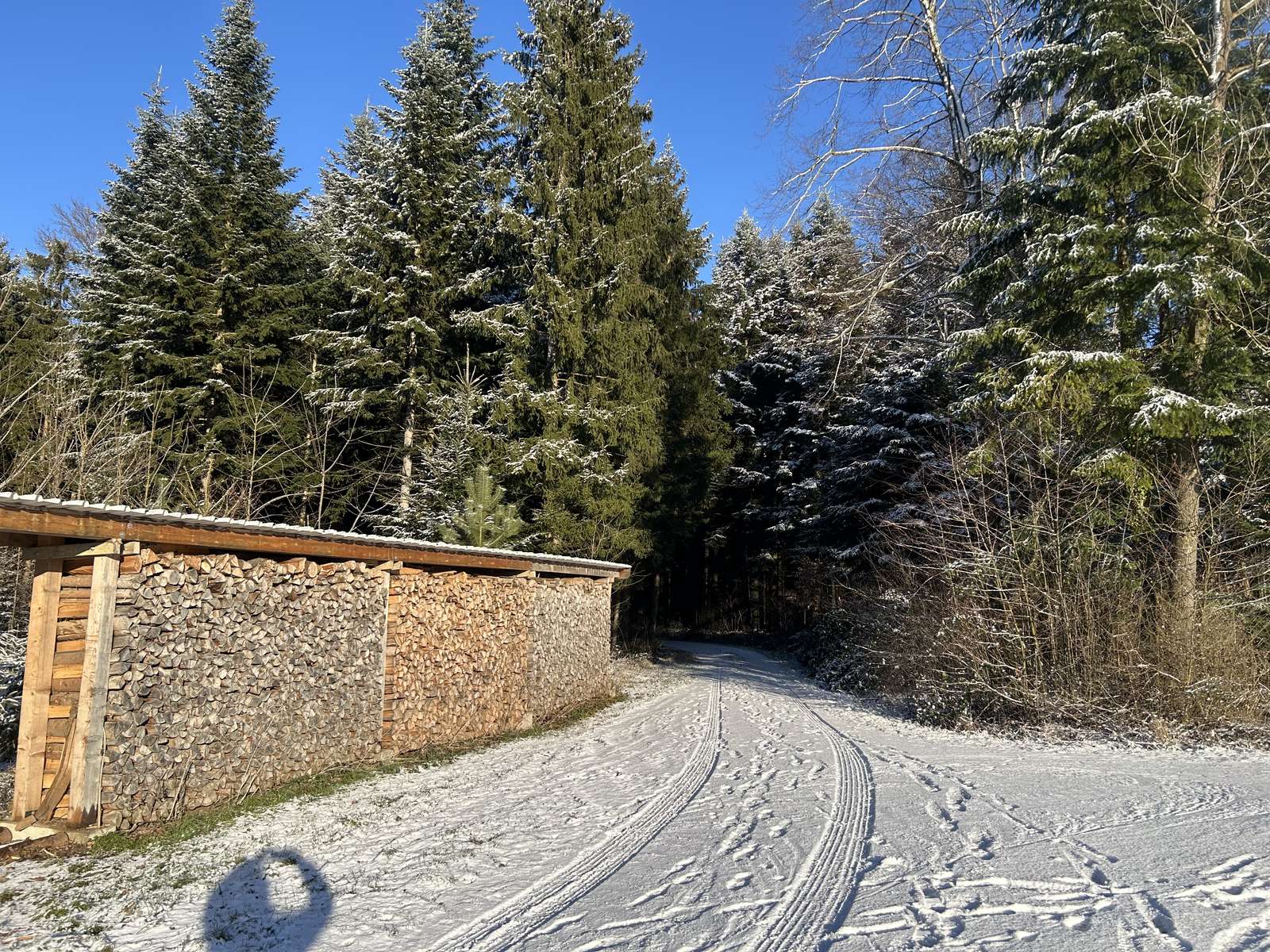Pila de madera en el bosque de Thurgau rompecabezas en línea