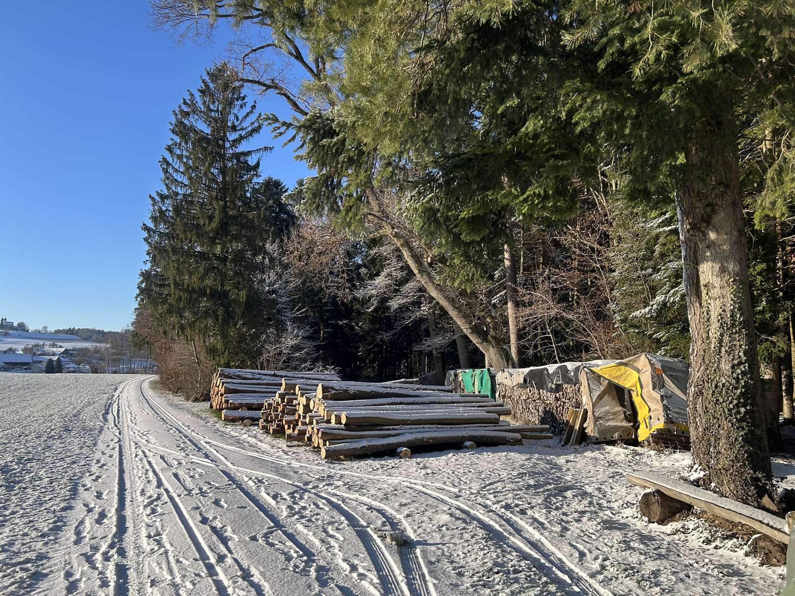 Sonnenschein Wald Holz Schweiz Puzzlespiel online