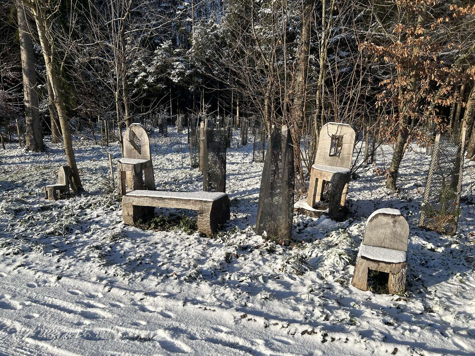 Chairs trees forest Switzerland online puzzle