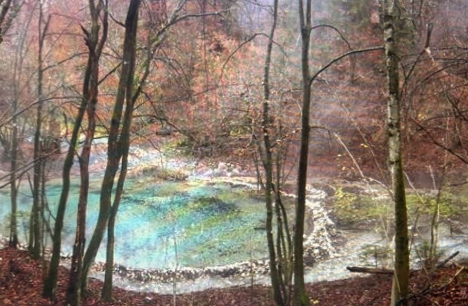 kleiner See im Wald Puzzlespiel online