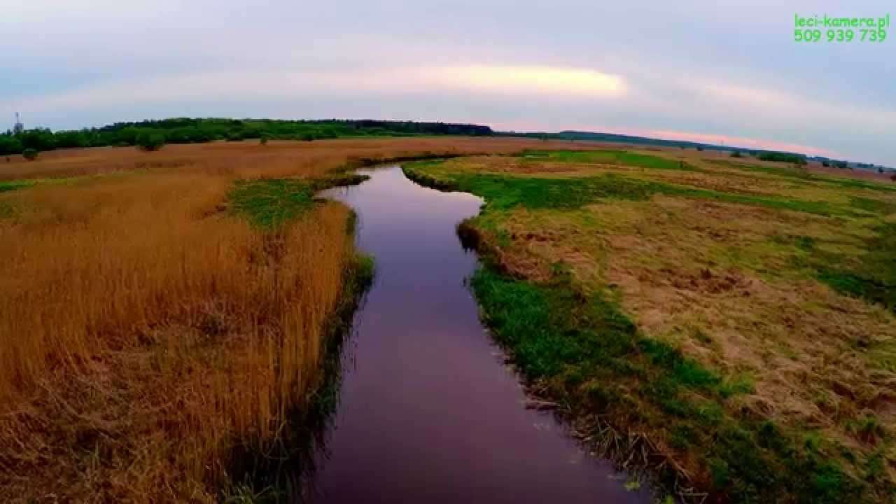 Národní park Narew skládačky online
