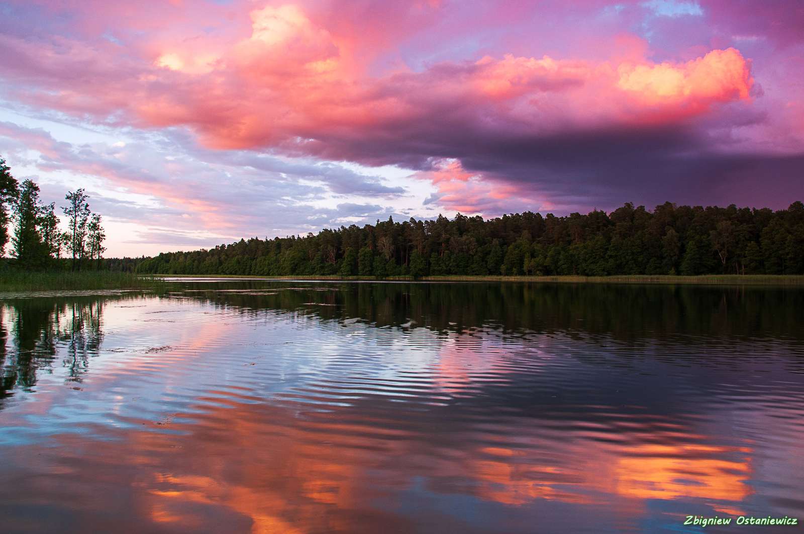 Мазурський національний парк онлайн пазл