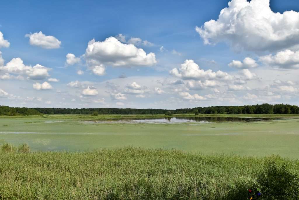 Národní park Polesie skládačky online