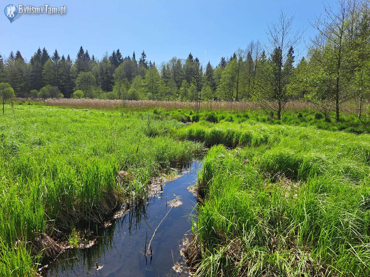 Národní park Wigry skládačky online