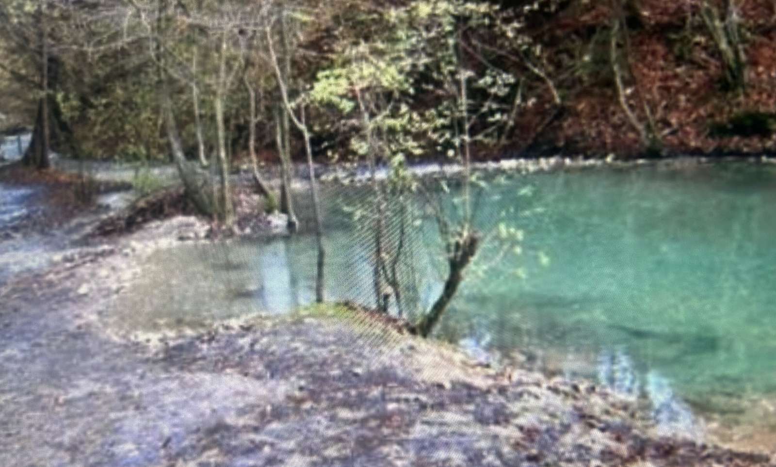 Teich im Wald Puzzlespiel online