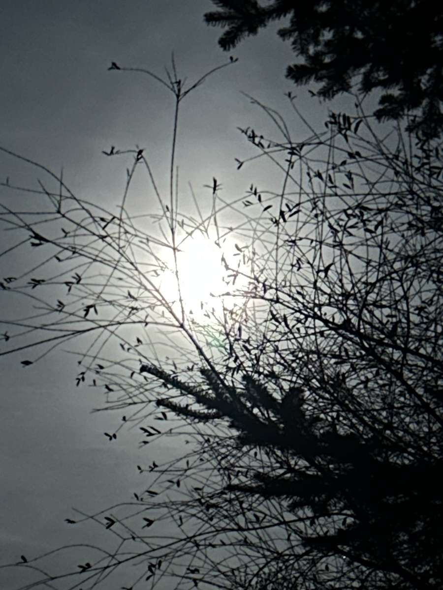 Un mois au village puzzle en ligne