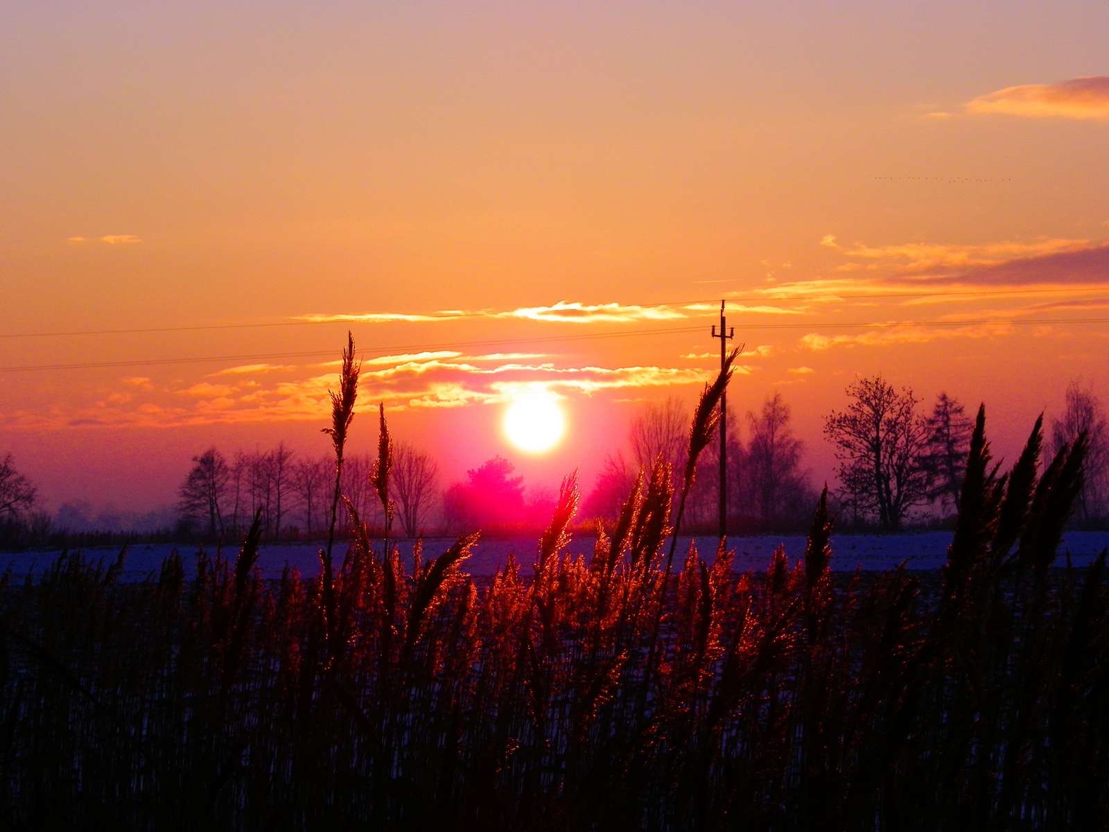 Ηλιοβασίλεμα πάνω από τη λιμνοθάλασσα Βιστούλα online παζλ