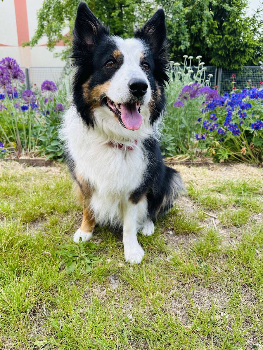 Leia Lente legpuzzel online