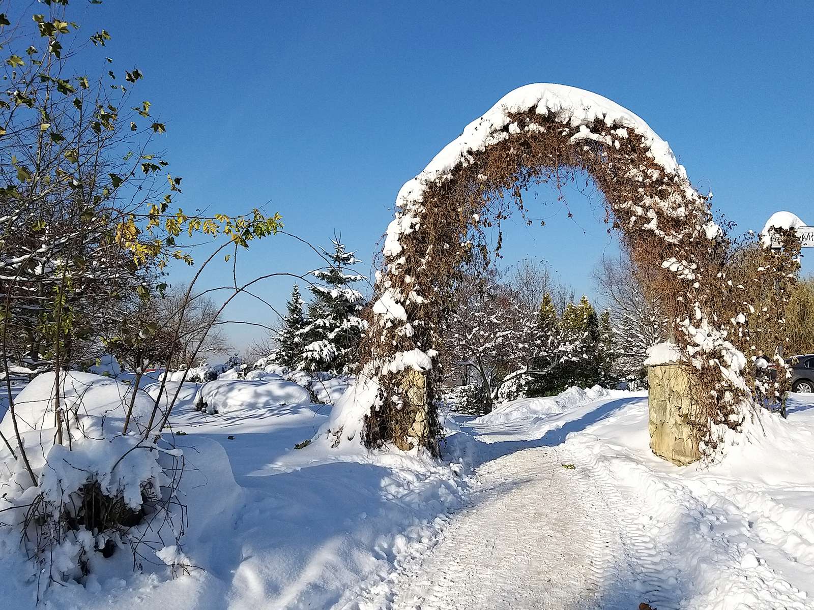 L'hiver dans le parc puzzle en ligne