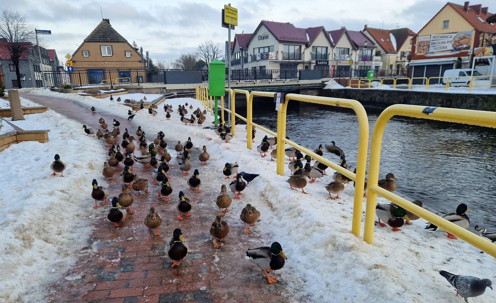 Ankor på trottoaren i Łeba Pussel online