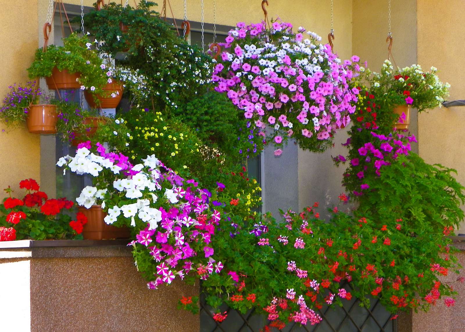 Fleurs sur le balcon puzzle en ligne