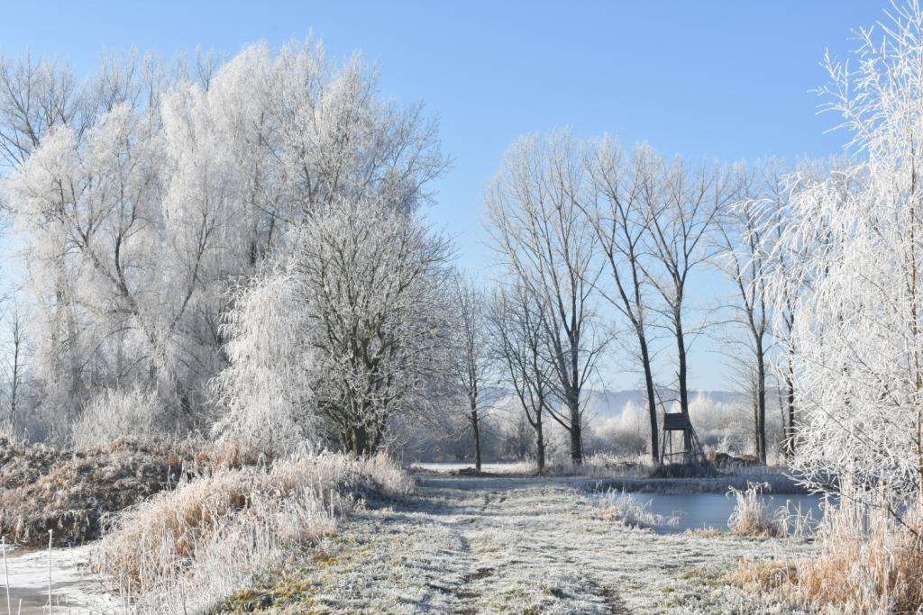 Regno di ghiaccio Javorník vicino a Jeseník puzzle online