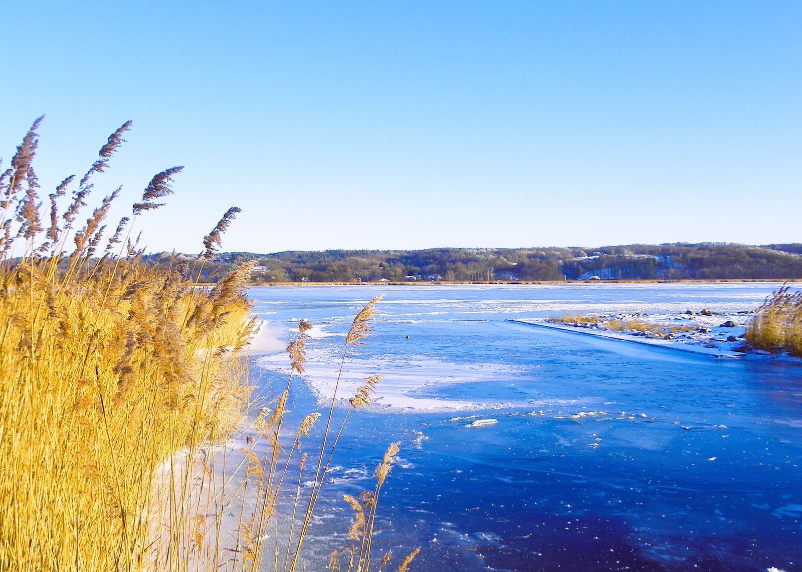 Vinter i Żuławy pussel på nätet