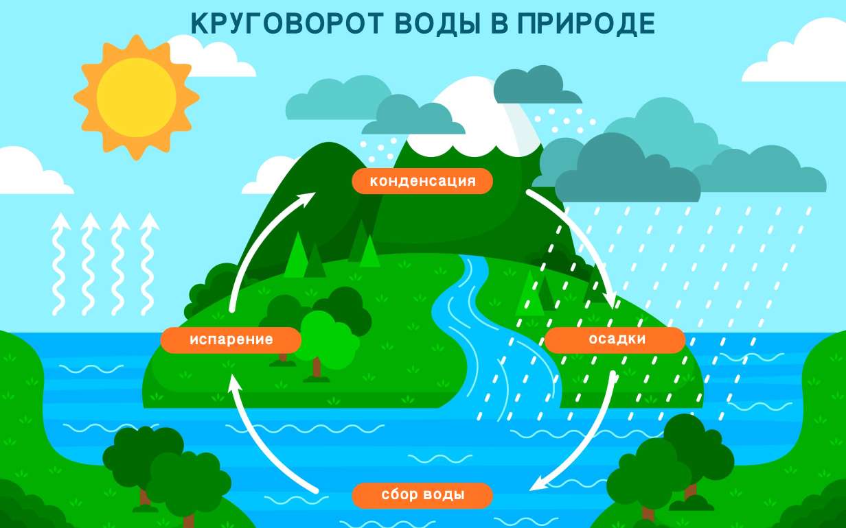 Circulation of water in nature online puzzle