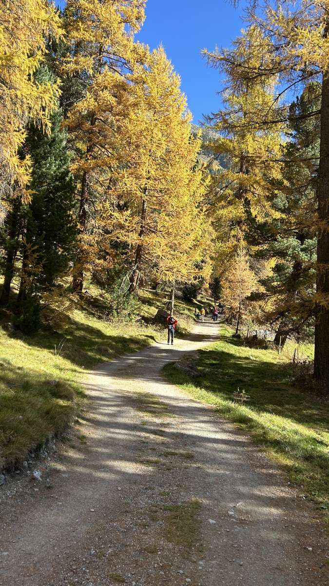 Herbst in Graubünden Online-Puzzle