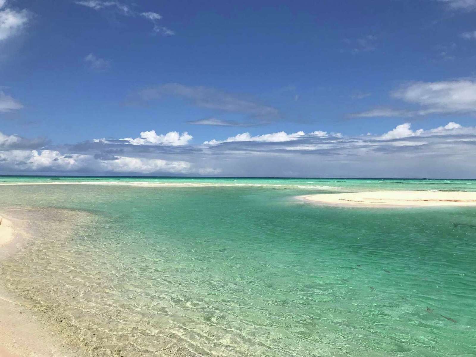 Tropisch spuug in de oceaan legpuzzel online