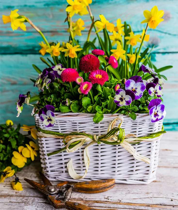 Blommar tidigt på våren pussel på nätet