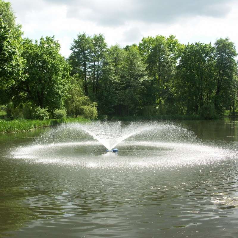 Ein bezaubernder Brunnen im Park Online-Puzzle