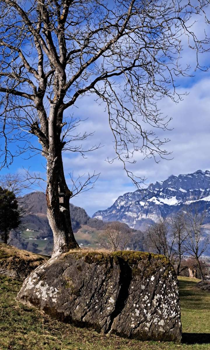 Utsikt över Rhen Pussel online