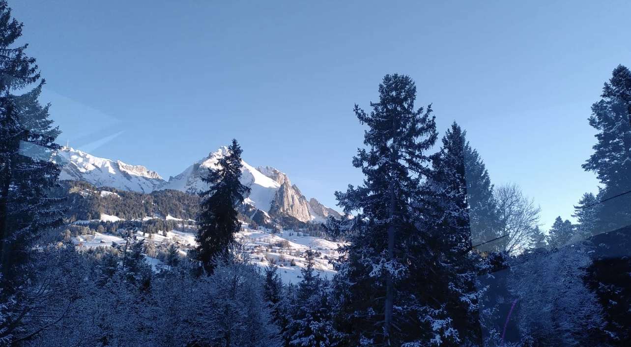 Cielo blu acciaio puzzle online