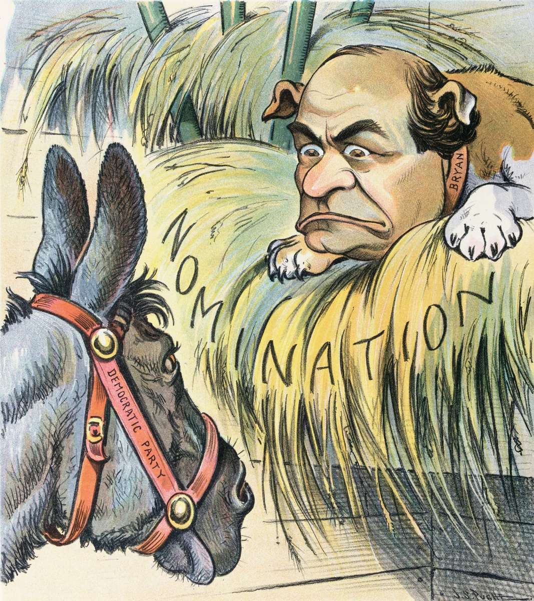 Pies w menadżerze puzzle online