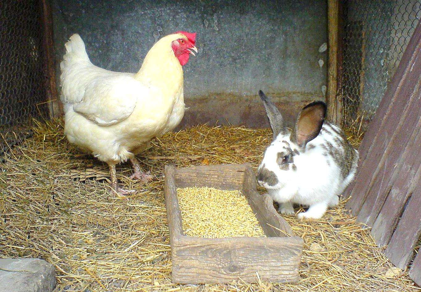 Una coppia così puzzle online