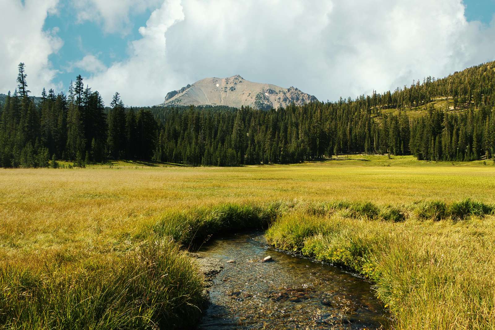 Paesaggio pittoresco con un ruscello puzzle online