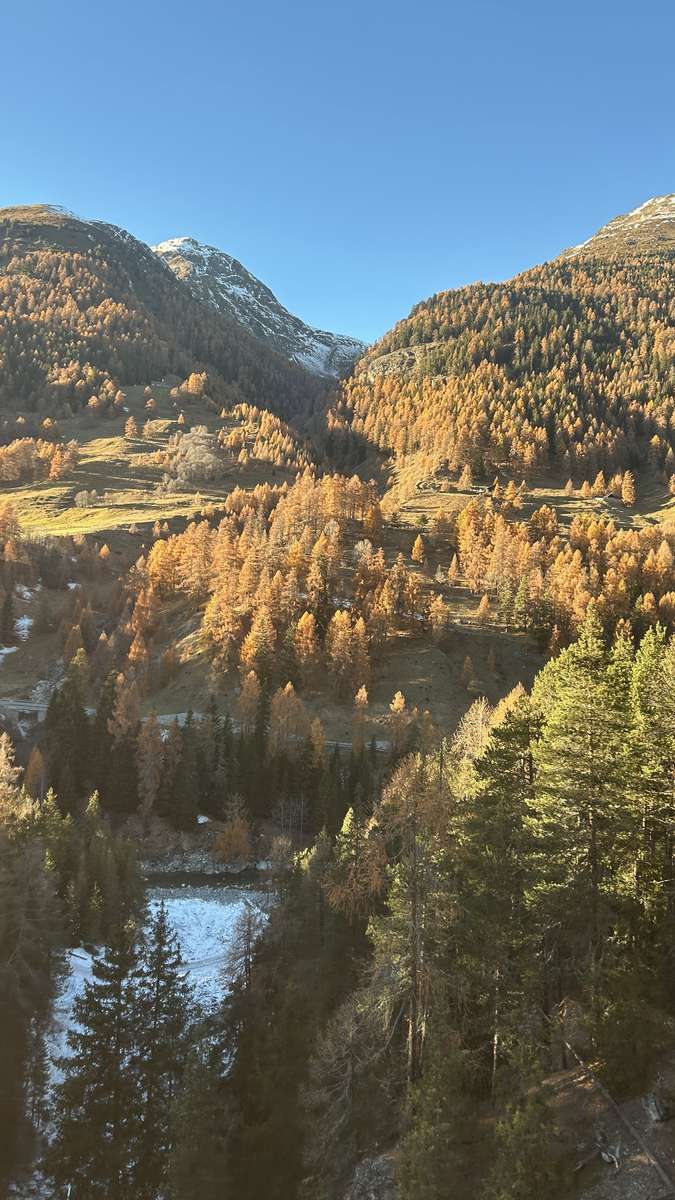 Engadin golden autumn online puzzle