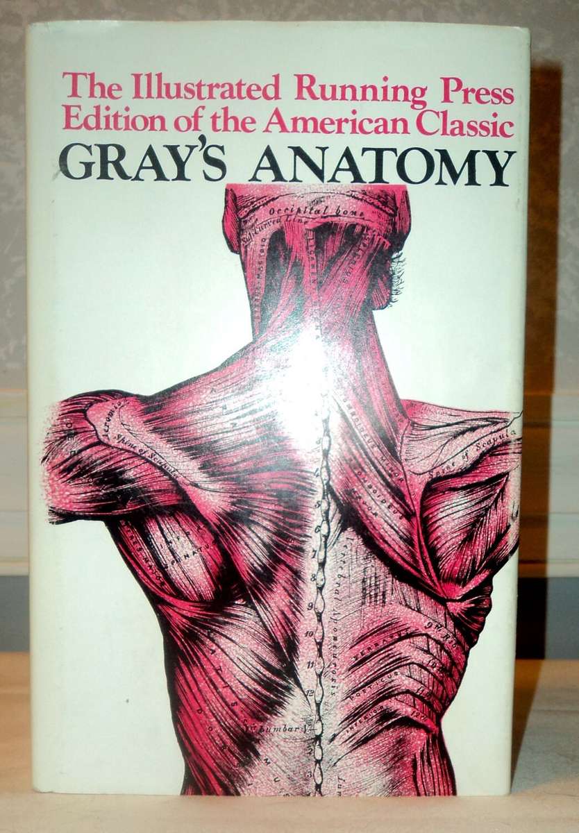 asda asdasd adas online puzzle