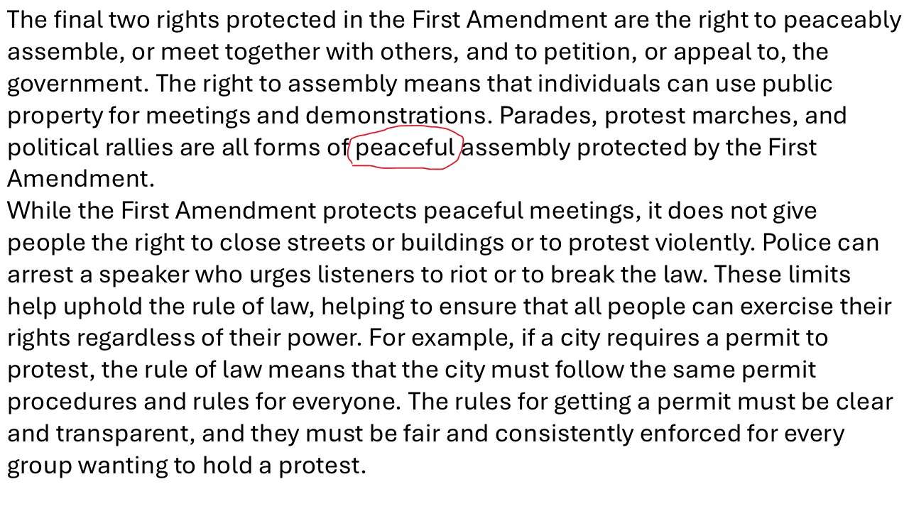 Carta dei diritti 1 puzzle online