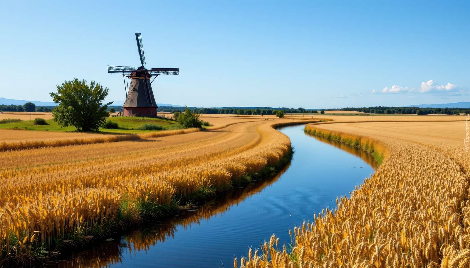 mulino ad acqua 2020 puzzle online