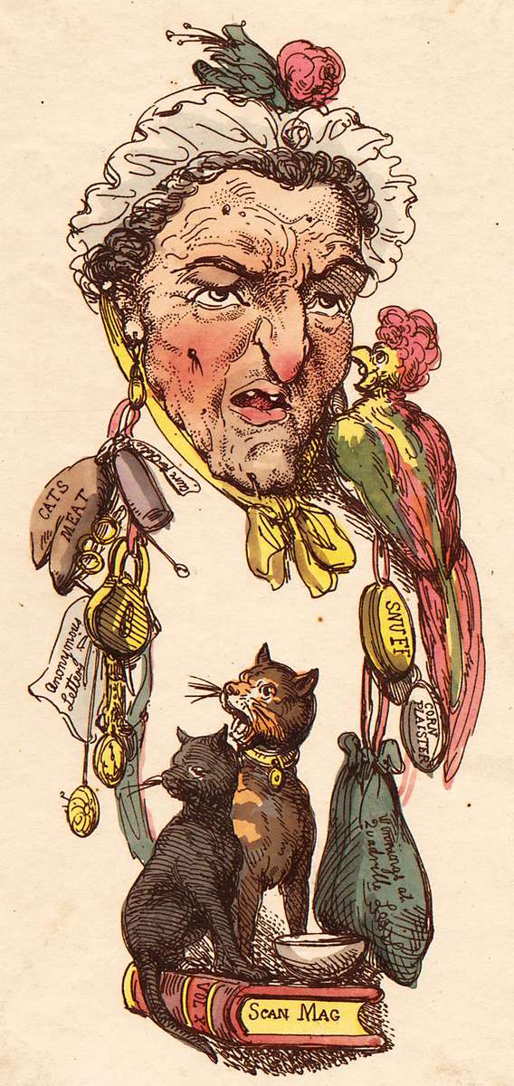 Rowlandson T -1800- Teste, Virginia puzzle online