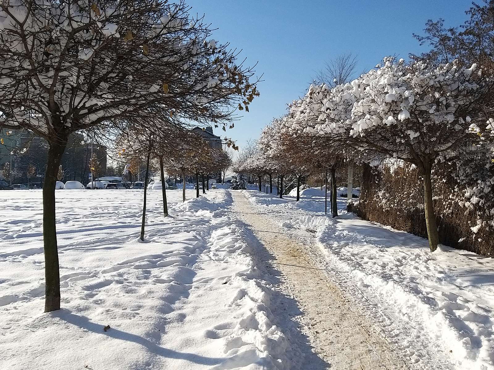 Inverno nel parco puzzle online