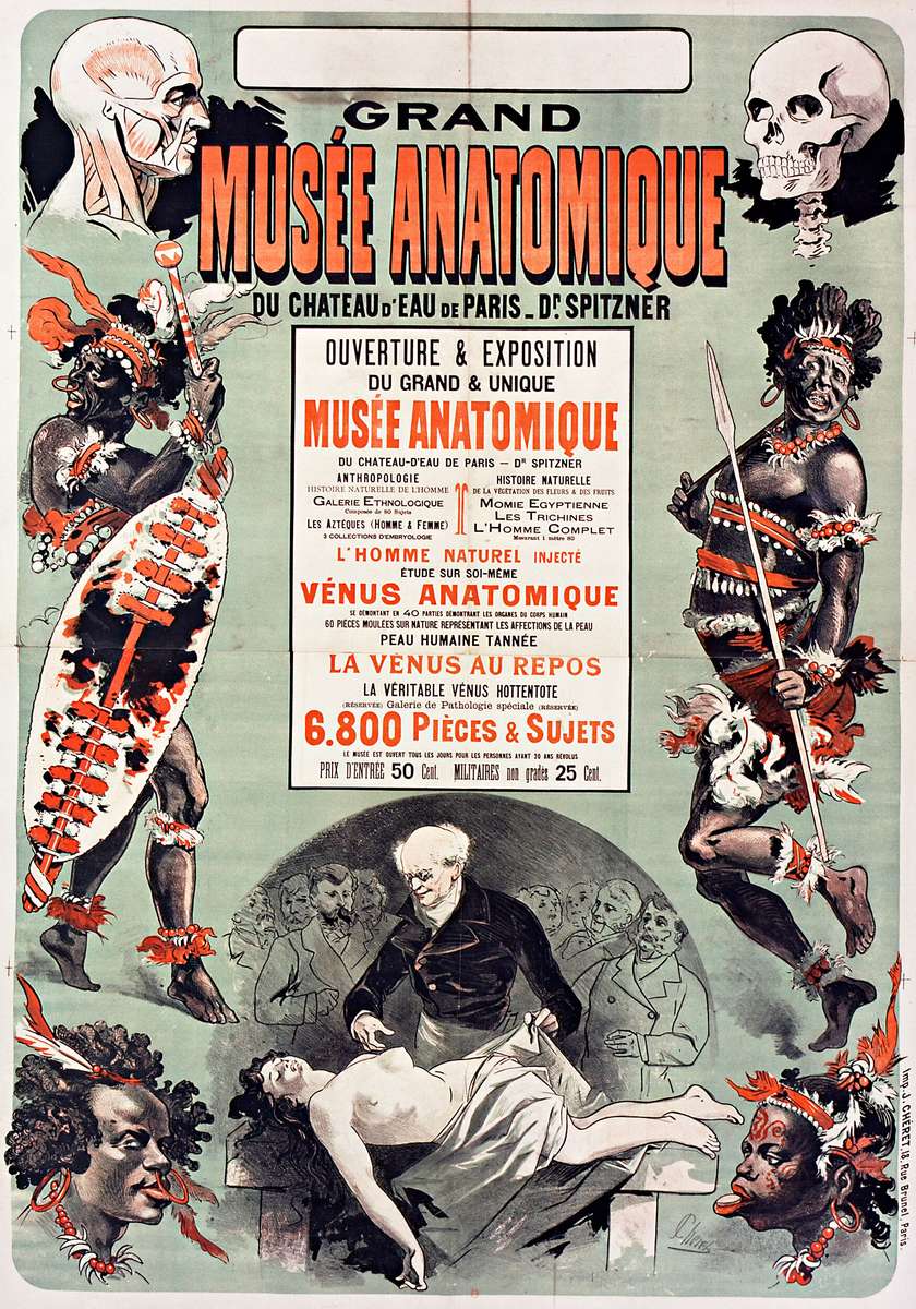 Chéret J -1880- Gran Museo Anatomico puzzle online