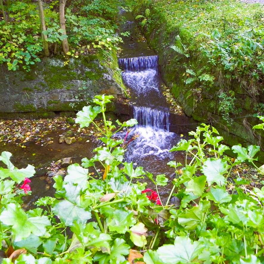 Pelargoner vid bäcken pussel på nätet