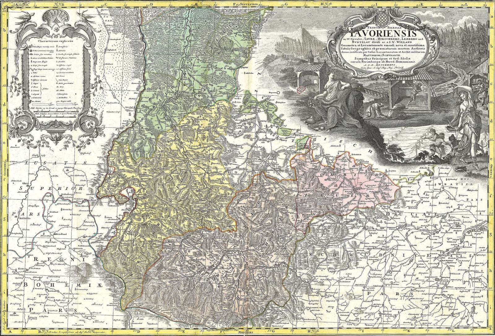 Lotter TC -1736- Tavoriensis online puzzle