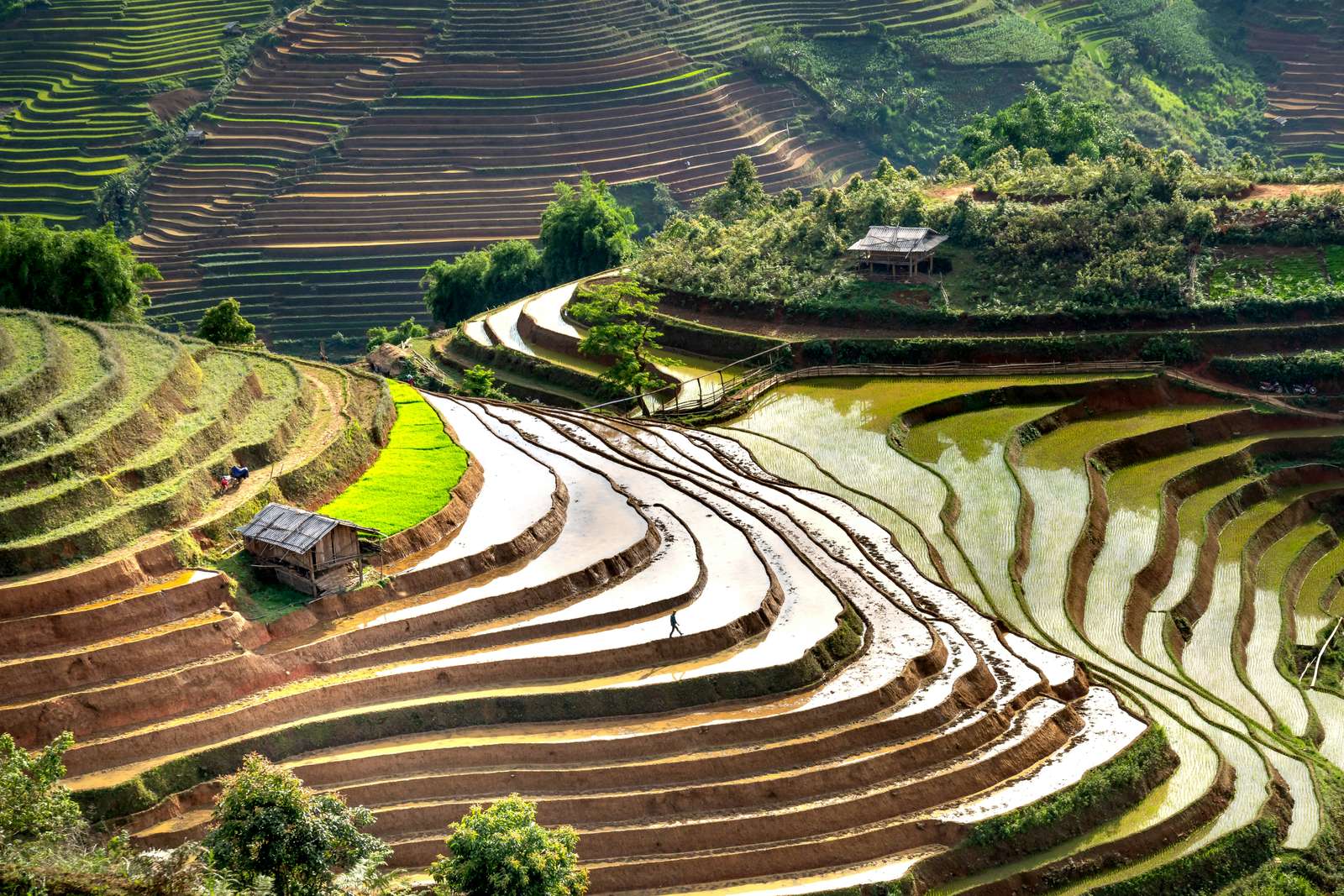 Mu Cang Chai, Vietnam kirakós online