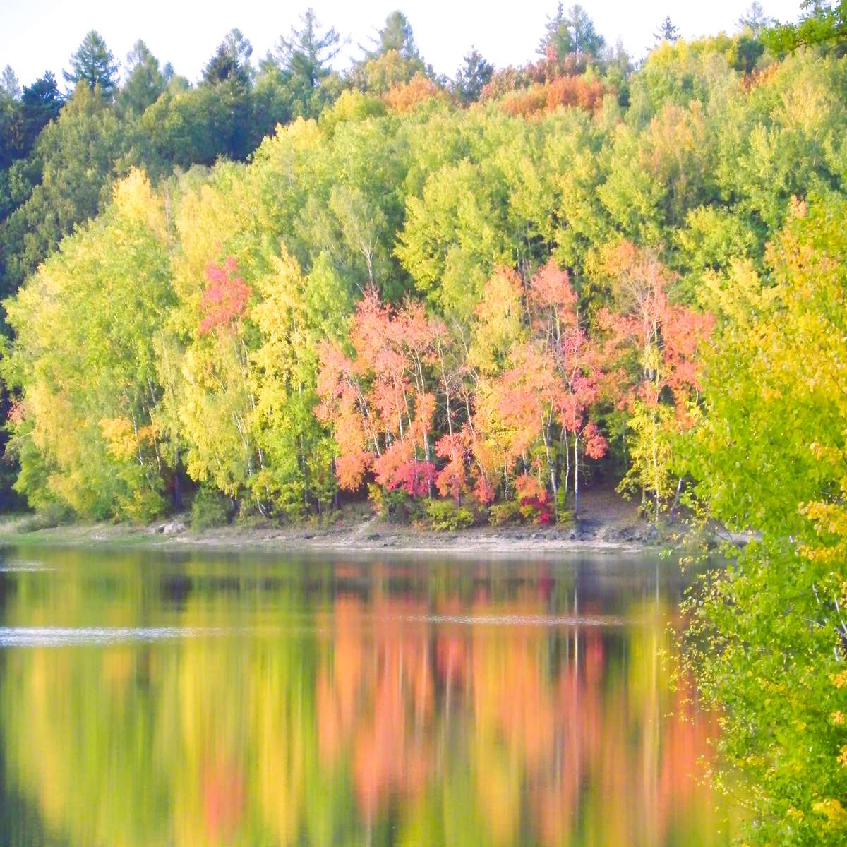 Herbstbaeume Puzzlespiel online