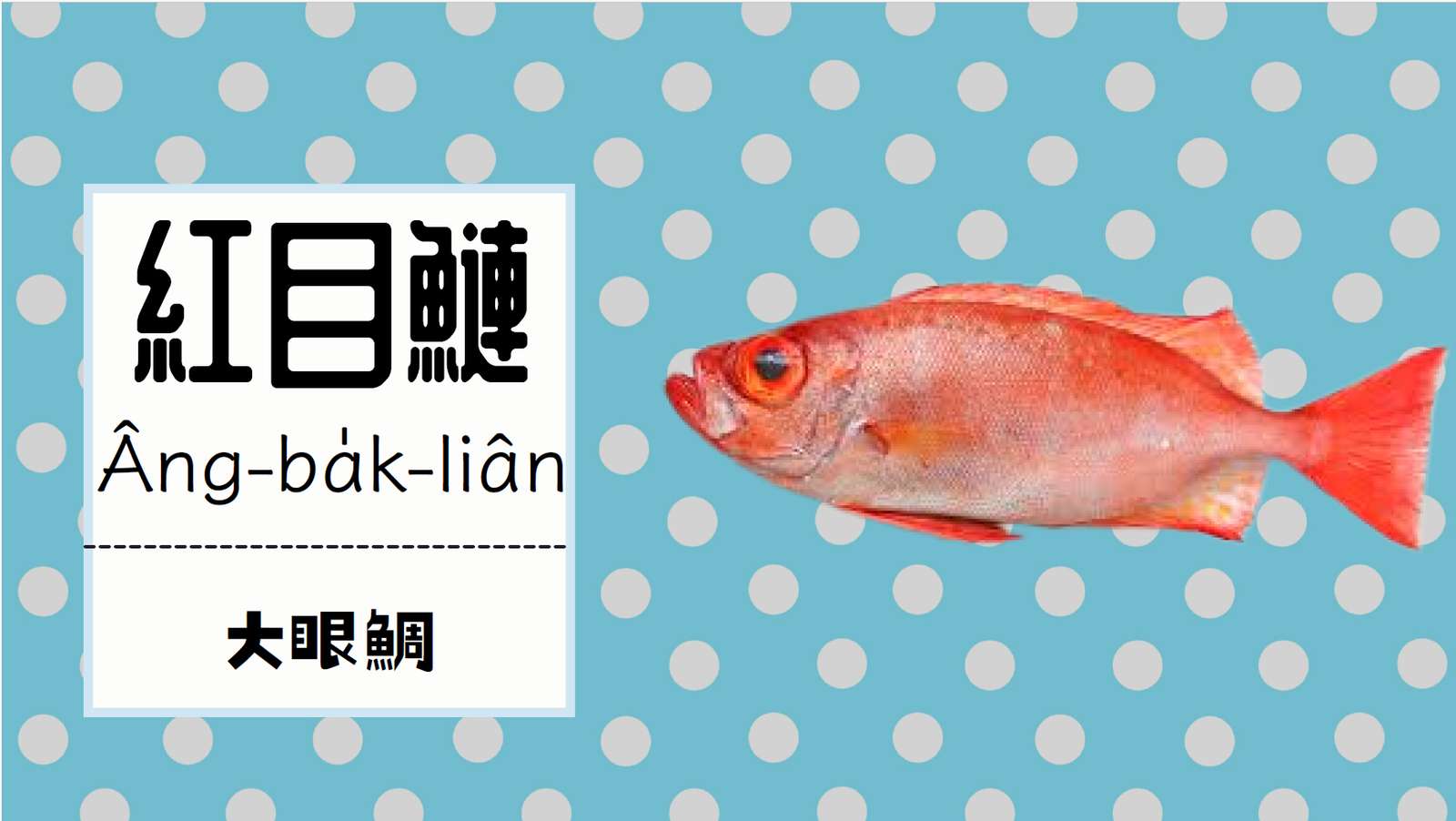 紅目鰱聽名字就知道牠有雙大眼睛 puzzle online