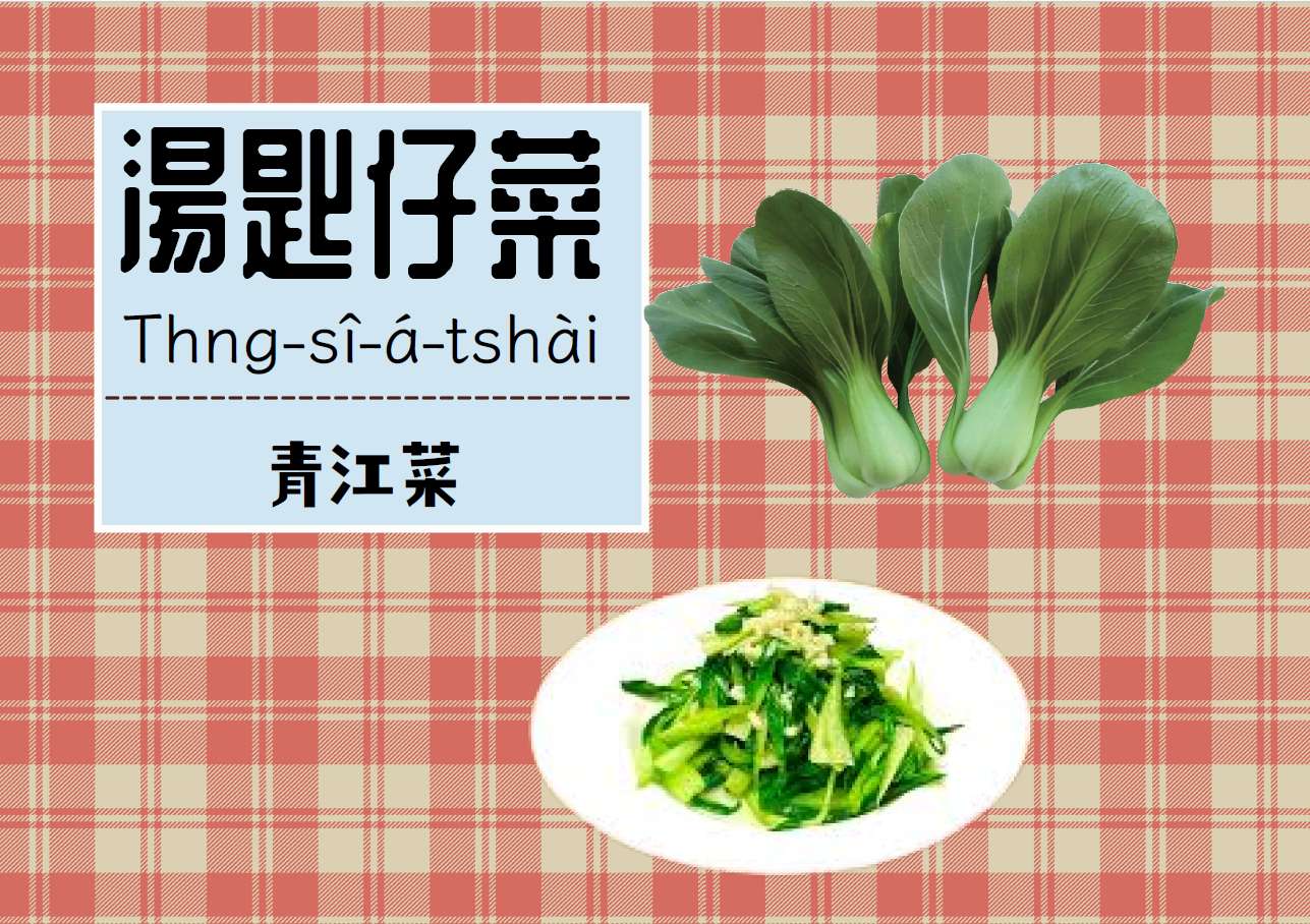 湯匙菜仔國語稱青江菜 puzzle en ligne