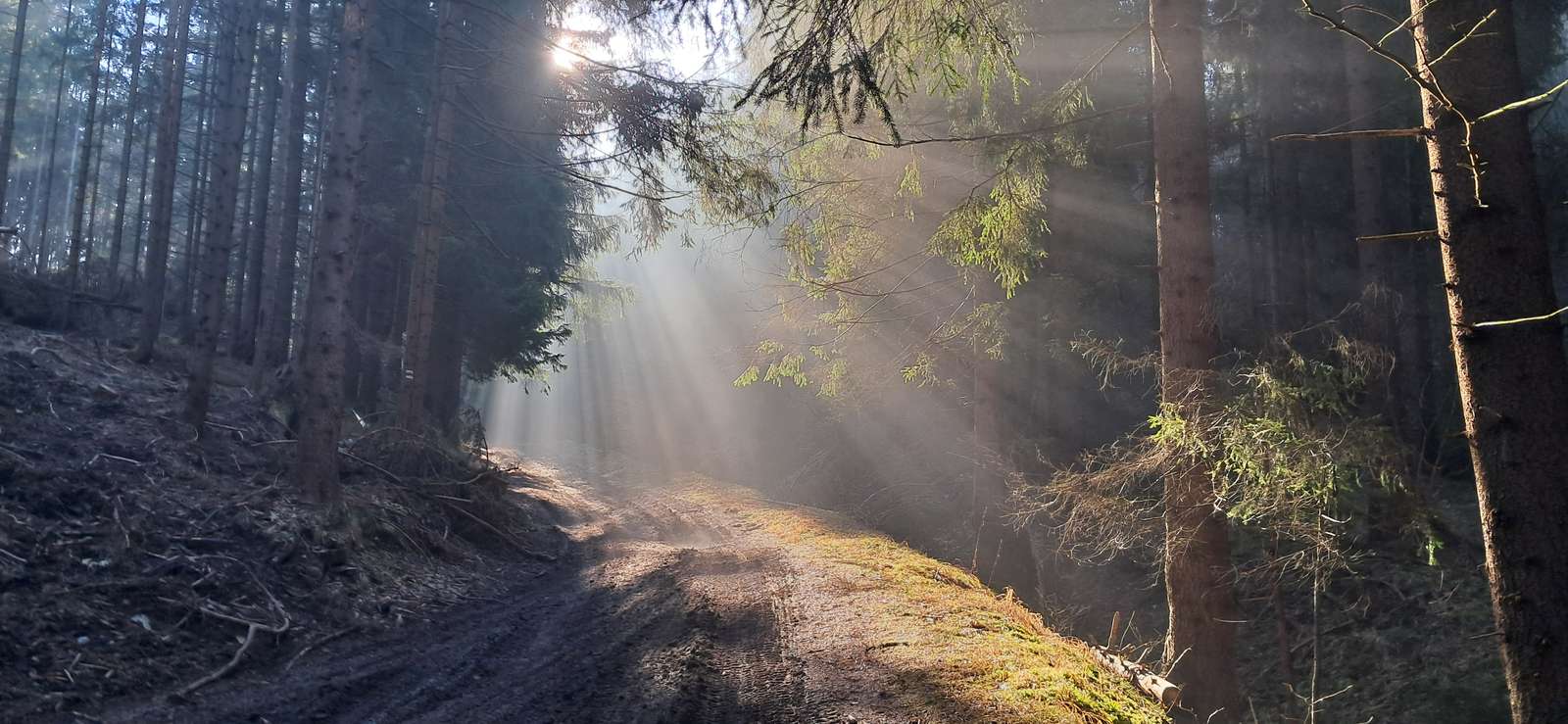 Juegos de luz rompecabezas en línea