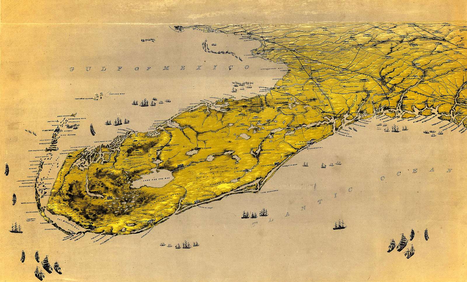 Bachmann J -1861 - Widok z lotu ptaka na Florydę puzzle online