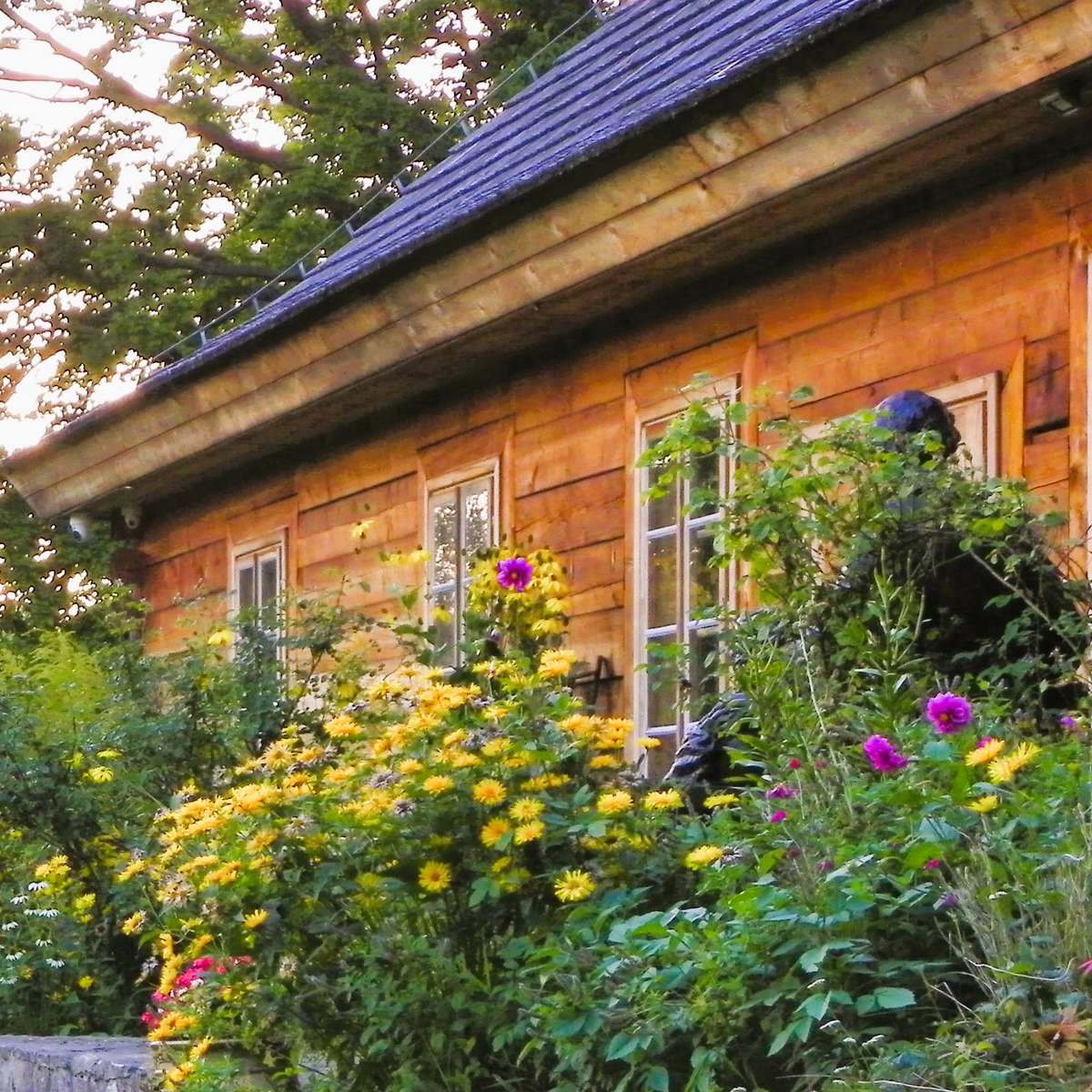 Blumen im Herrenhaus Online-Puzzle