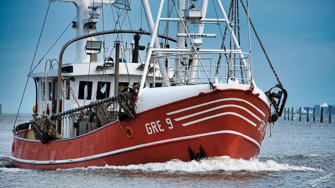 Taglia-granchio, Barca, Mare. puzzle online