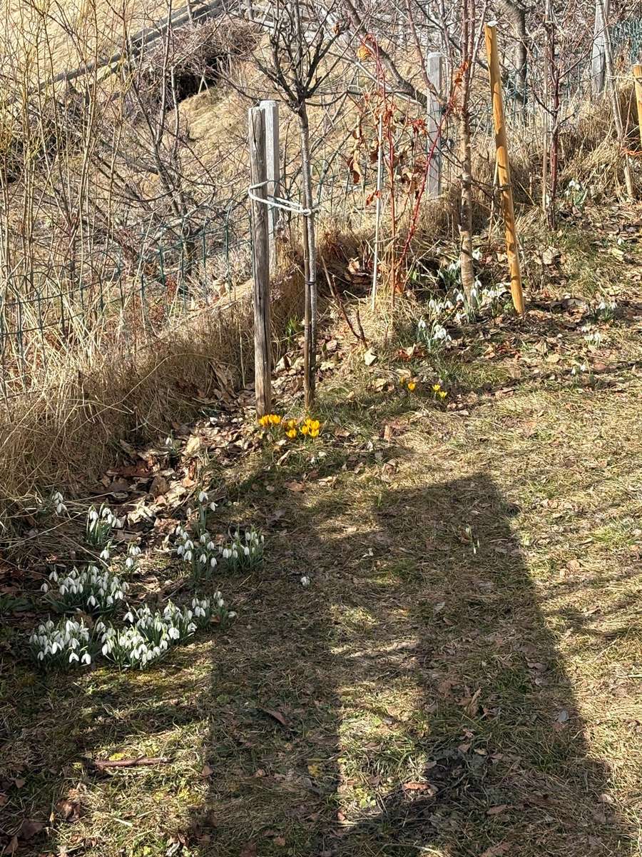 La primavera sta arrivando puzzle online