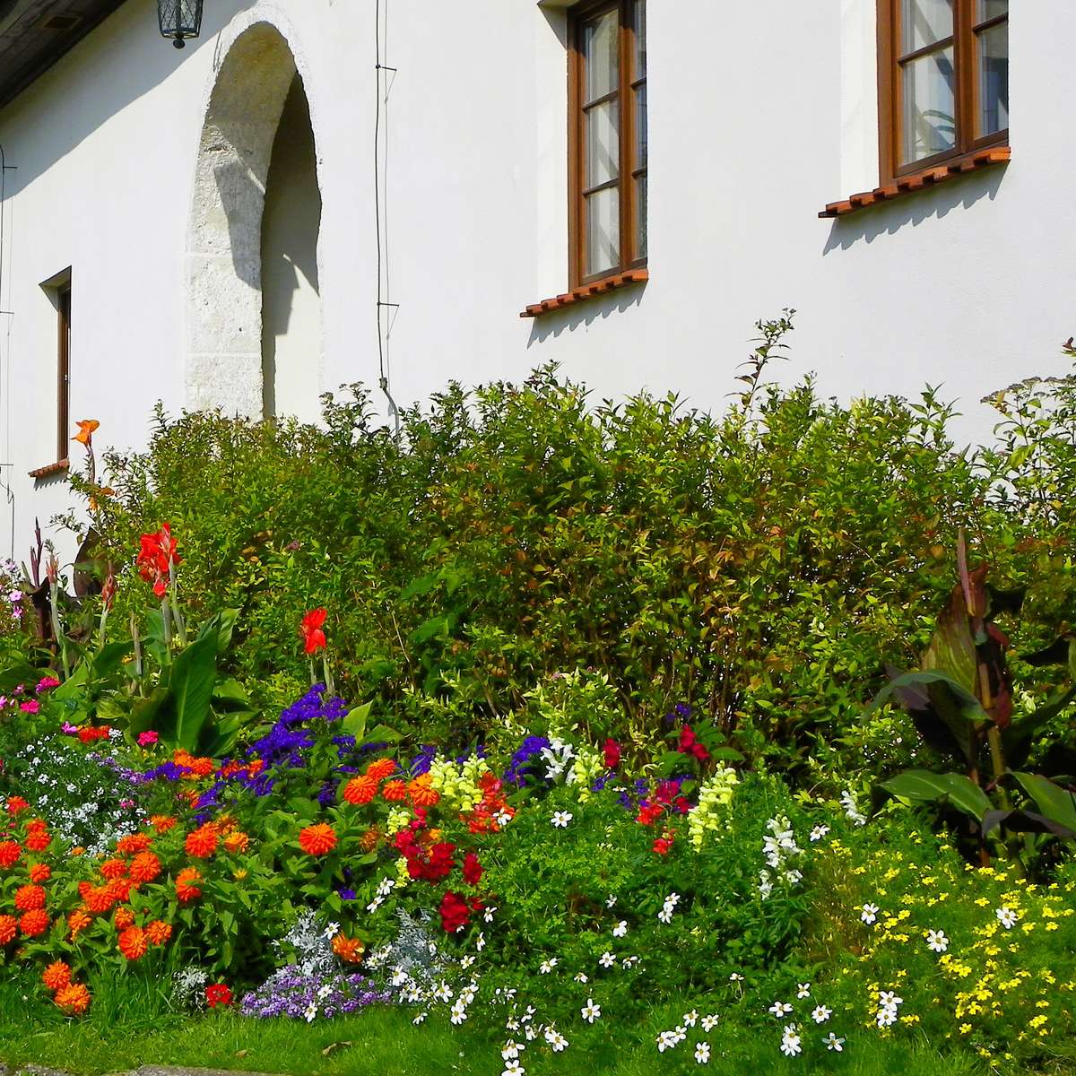 Fleurs à Pieskowa Skała puzzle en ligne