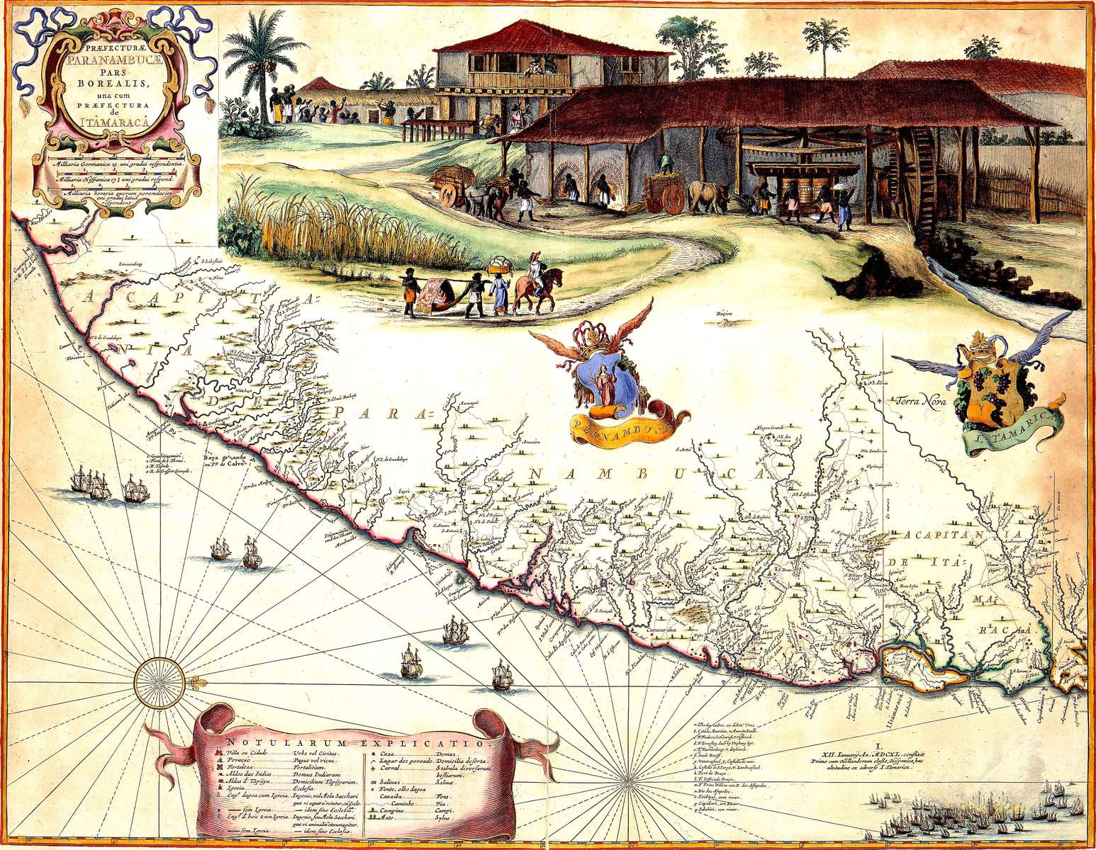 Golijath, Marcgrave -1643- Paranambuca District online puzzle